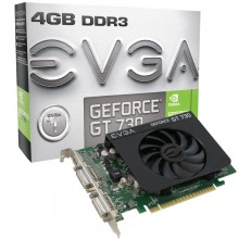 EVGA VGA NVIDIA GT 730 4GB